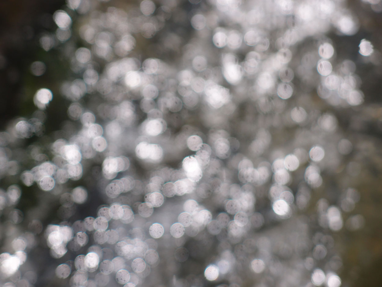 2016-02-10 am Fluss (Foto, Video)